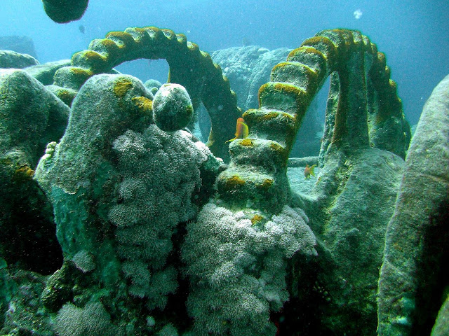 thistlegorm wreck, northern red sea, egypt