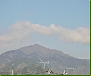 DSCN6239