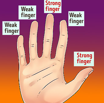 Facts About Shape Of Hands Palmistry