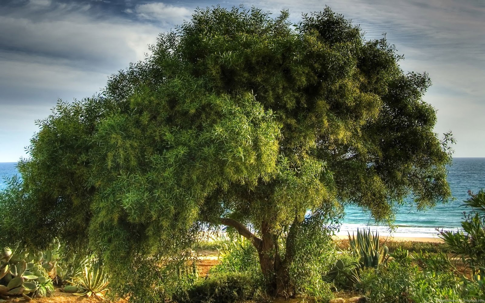 Support for tree branches