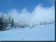 DSCN1675