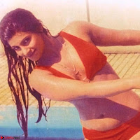 Bollywood Bikini ACTRESS in Bikini  Exclusive Galleries 058.jpg