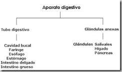 clip_image002