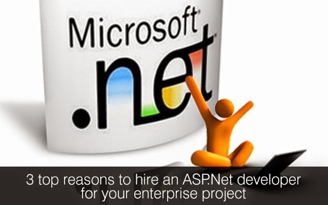 .net development services