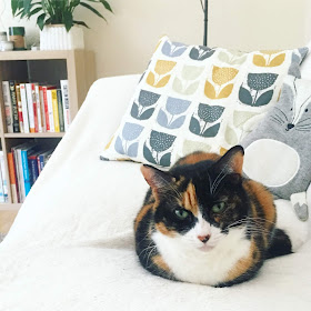 I wasn't planning on adopting a cat this year, but sometimes life takes you in different directions just when you need it. Here's how I came to meet my purrfect Poppy cat...