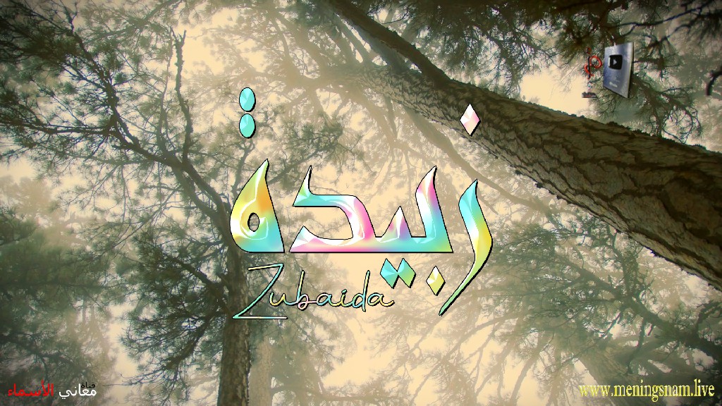 معنى اسم, زبيدة, وصفات, حاملة, هذا الاسم, Zubaida,