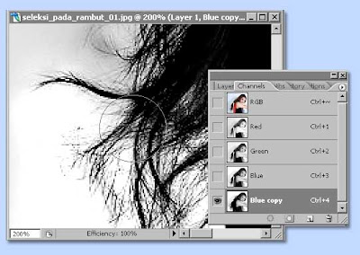 tutorial photoshop untuk membuat seleksi dengan channel dan layer mask, gambar 3