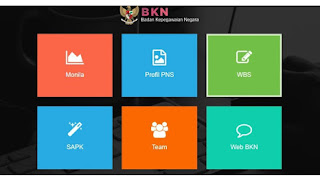 Cara Cek Data Profil PNS dari BKN