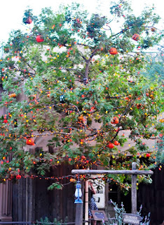 Halloween Time Disneyland decorations