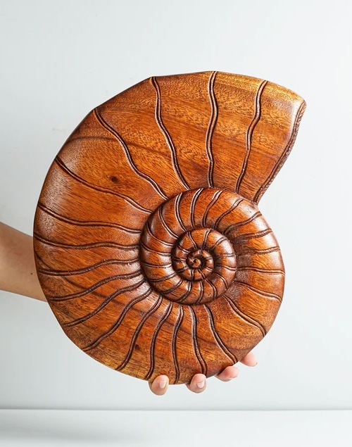 Large Wood Carved Shells for Wall Decor