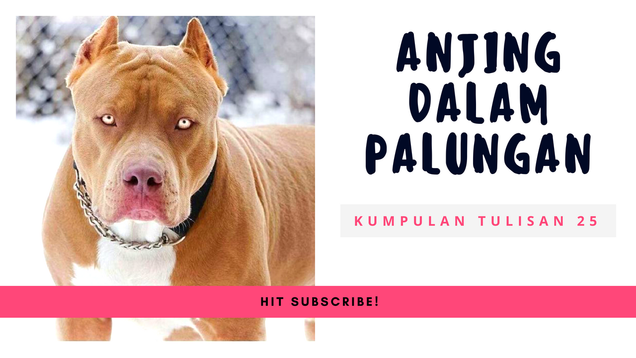 ANJING DALAM PALUNGAN