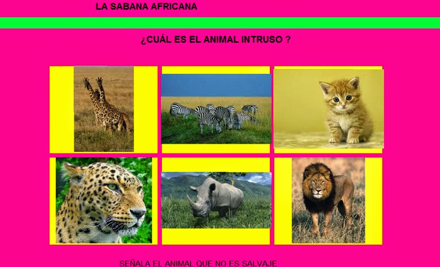 http://chiscos.net/almacen/lim/la_sabana_africana4/lim.swf?libro=la_sabana_africana.lim