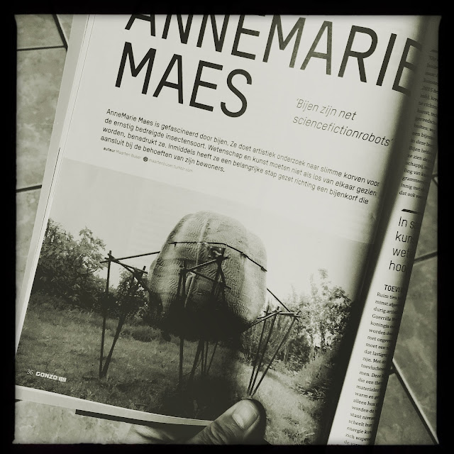 Tijdschriftartikel AnneMarie Maes