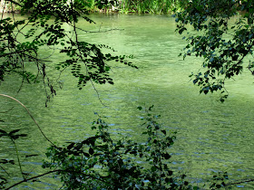 EL TER, VORA DE TER, Sant Quirze de Besora, TORELLO