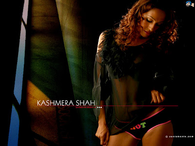 Kashmira Shah Hot Photo