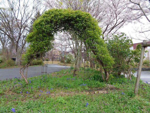 アクイール風彩の森迎賓館（かぜのもりげいひんかん）