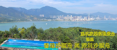 位於風景如詩如畫的沙頭角海灣畔, 鷺鳥飛翔於海灣