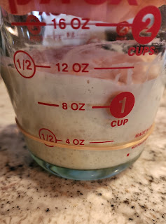 A pyrex measuring cup filled with rising sourdough starter