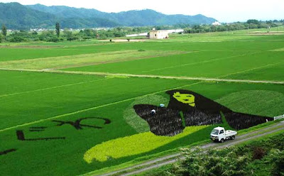 Japanese Rice Paddy Art 2010 Seen On www.coolpicturegallery.net