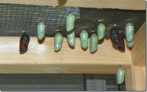 010cs