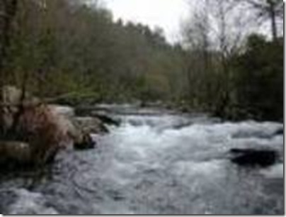 clip_image001