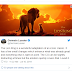  The First Reviews Of “The Lion King” 