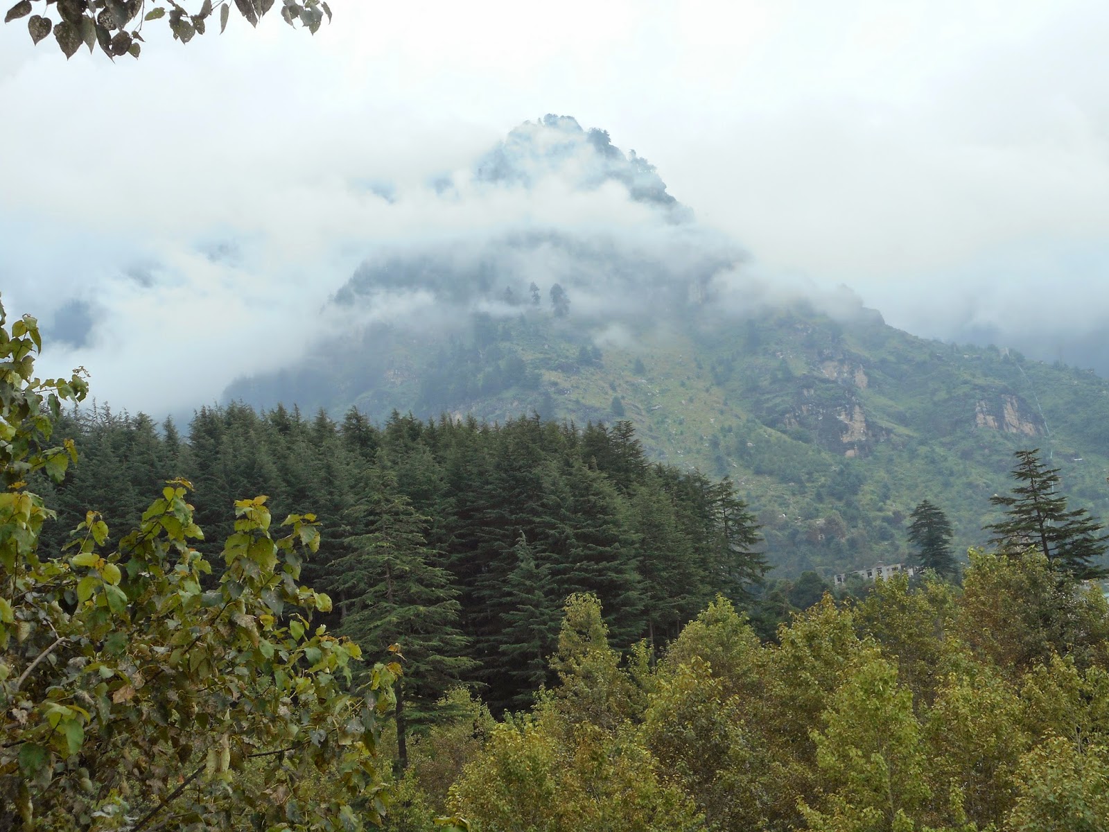 Manali