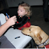 Pups Sniff Out High/Low Blood Sugar in those with Type 1 Diabetes