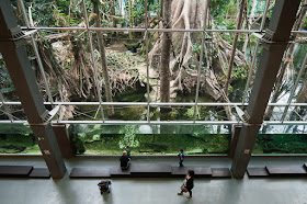 barcelona, cosmocaixa, museo, ciencia, botanica