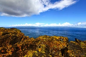 IMG_4286