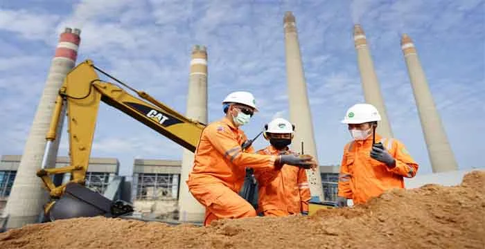 PLN Sukses Tingkatkan Penggunaan Biomassa