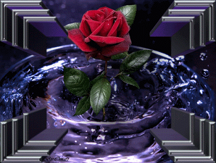 FLOR