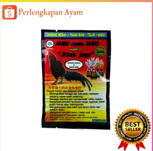 jamu ayam di musim hujan