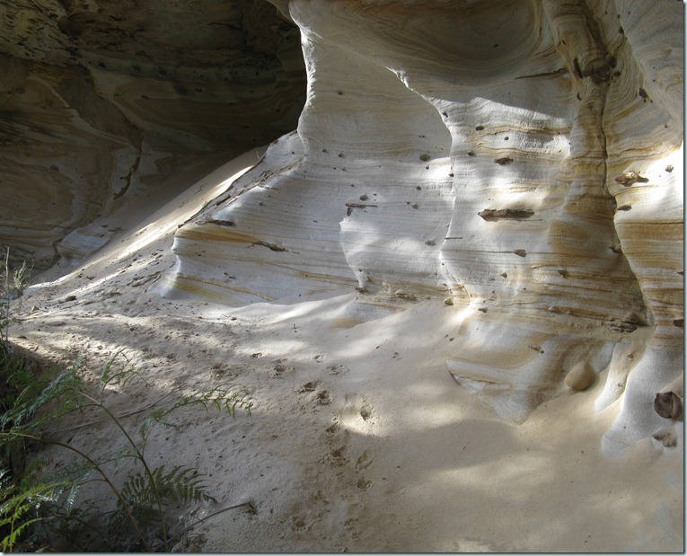 Sandstone Cave with animal tracks