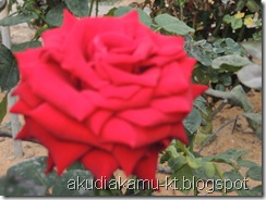 DSCN1018