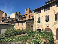 The stone houses of the old town