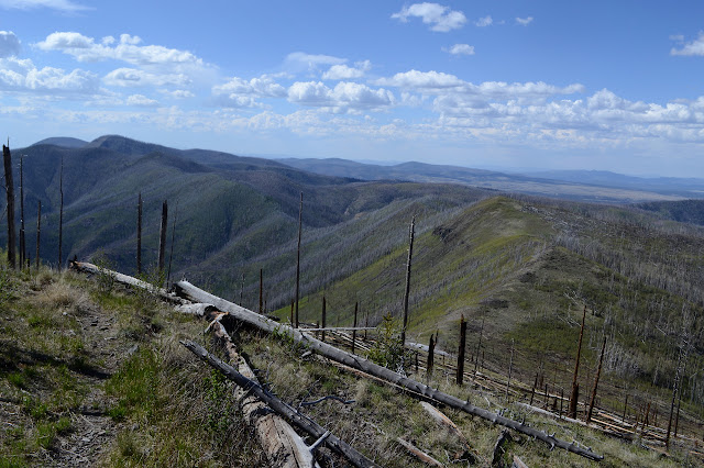 ridge line wrapping around West Fork Mogollon Creek