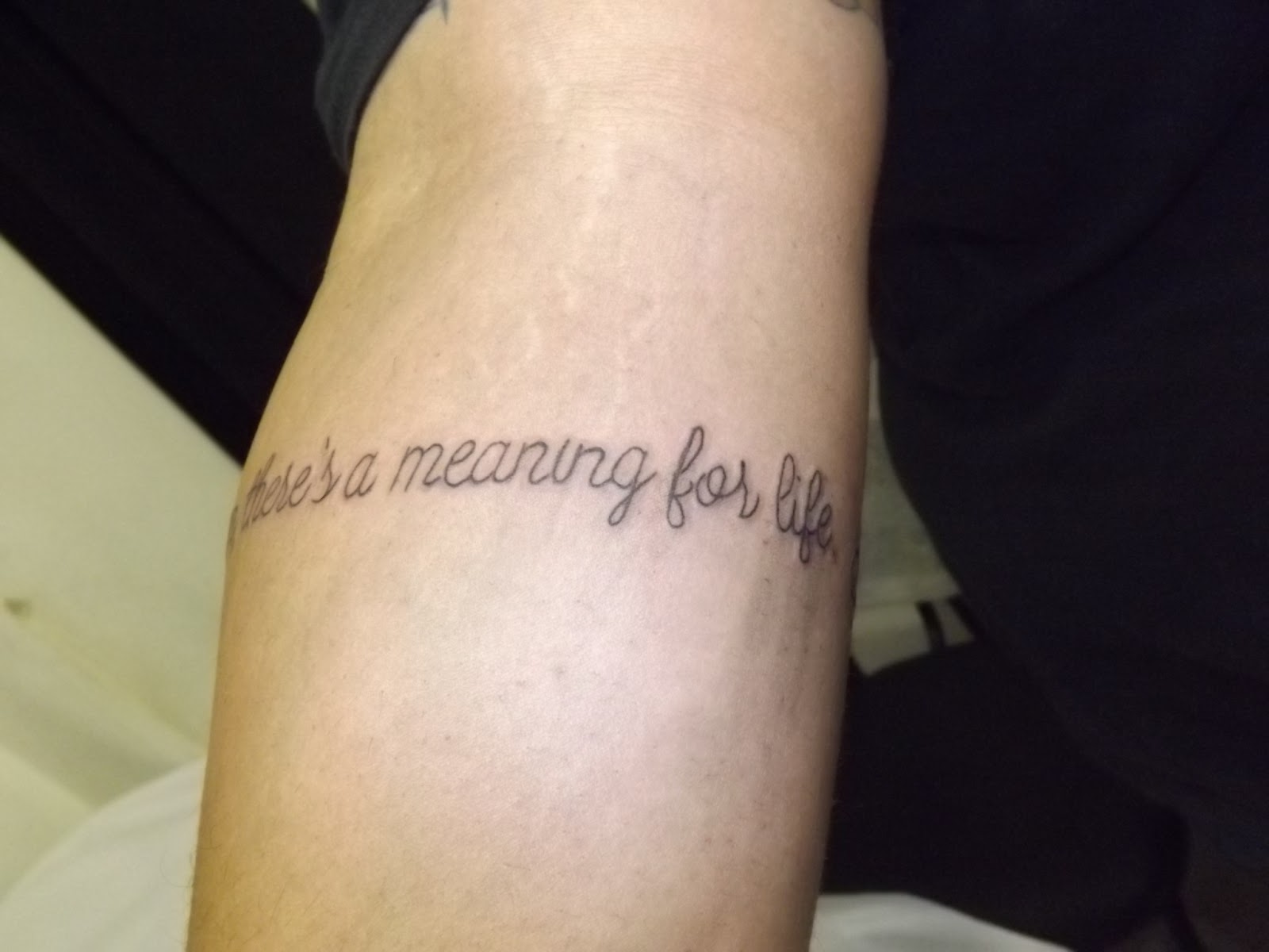 Leco's Tattoo: Frases