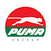 Puma energy Jobs For Associate HR Business Partner