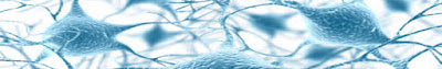  virtues of omega