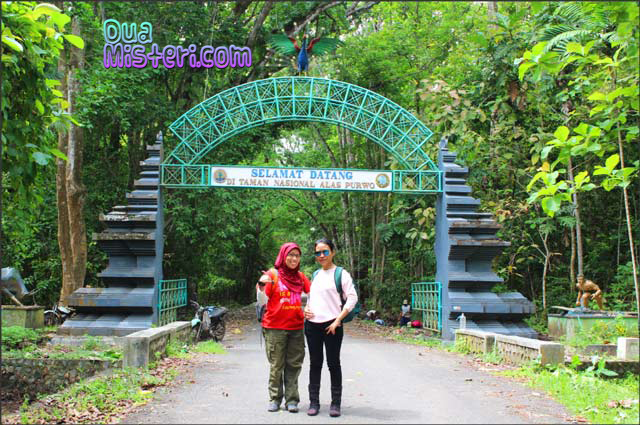 Hutan Alas Purwo Yang di Sebut Hutan Paling Angker Dijawa 