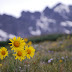 Colorful Colorado