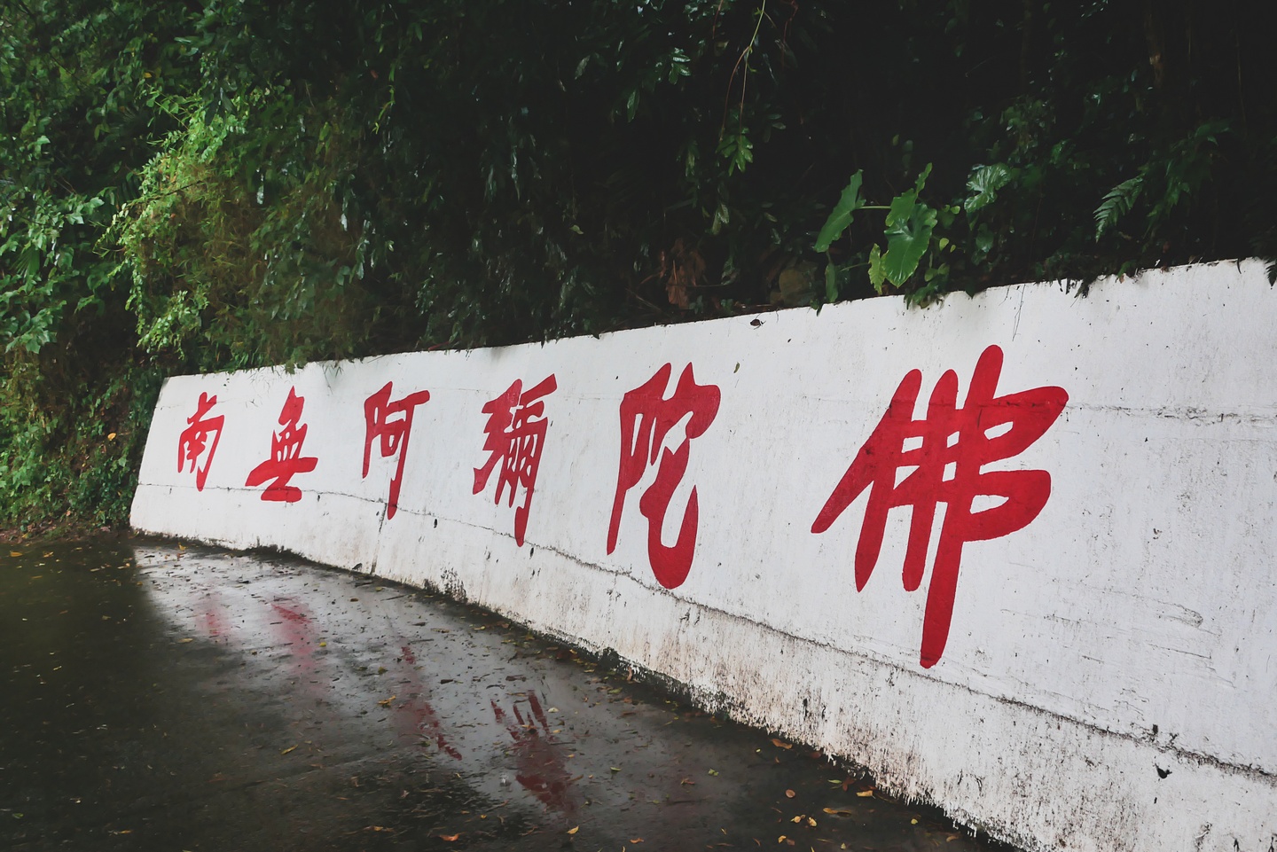 大坑登山步道