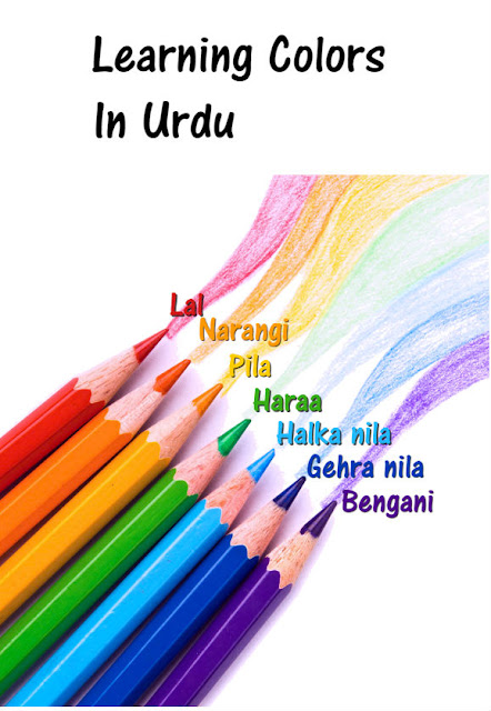 learning colors in urdu