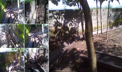 View album