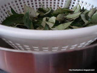 How to store curryleaves / karivepaku / kadi pattu / Kari patte / Hojas de curry 