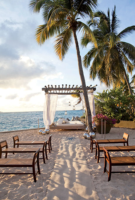  of palm trees or create your own with a flower covered arch above 