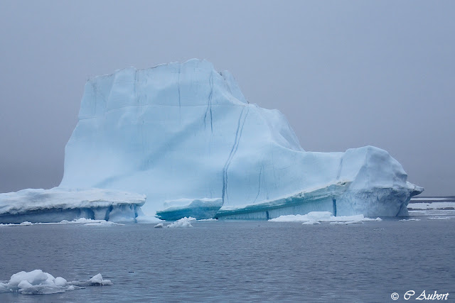 banquise, Arctique, Canada