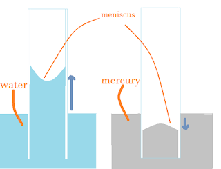 water and mercury in thin capillary tube