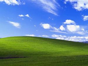 Kisah Unik diBalik Wallpaper Windows XP